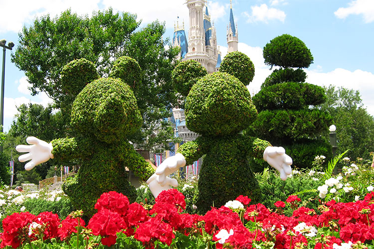 Mickey Minnie topiary