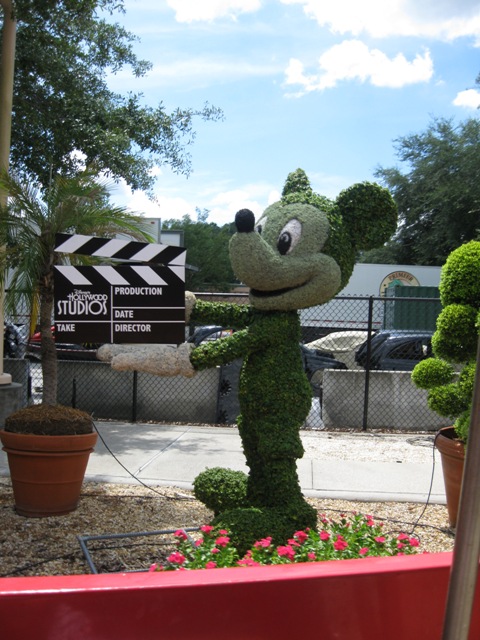 Mickey Topiary