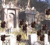 mickey_bar_wake_sm