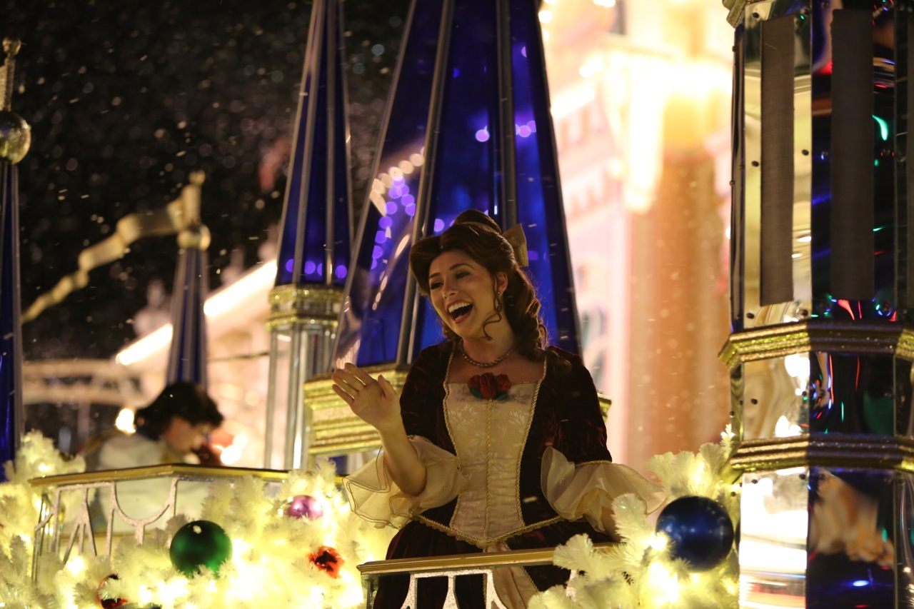 Mickeys-Very-Merry-Christmas-Party-2015-213