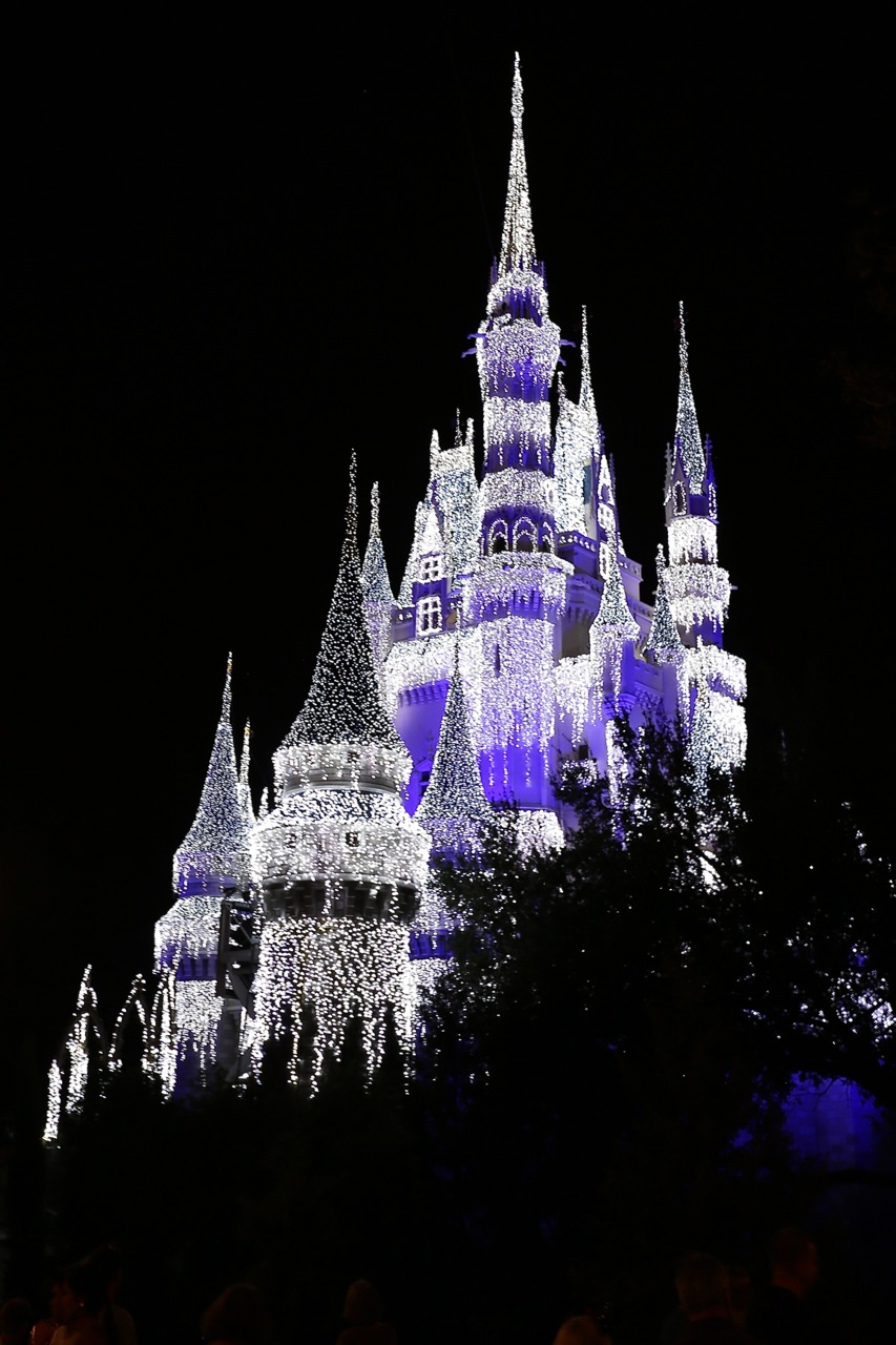 Mickeys-Very-Merry-Christmas-Party-2015-253