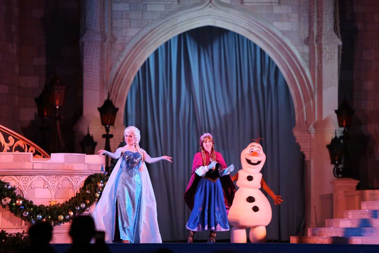 Mickeys-Very-Merry-Christmas-Party-2015-259