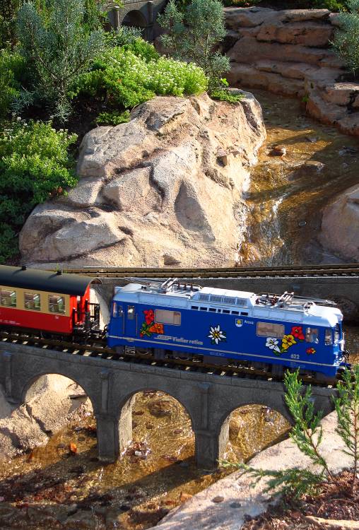 Mini Train