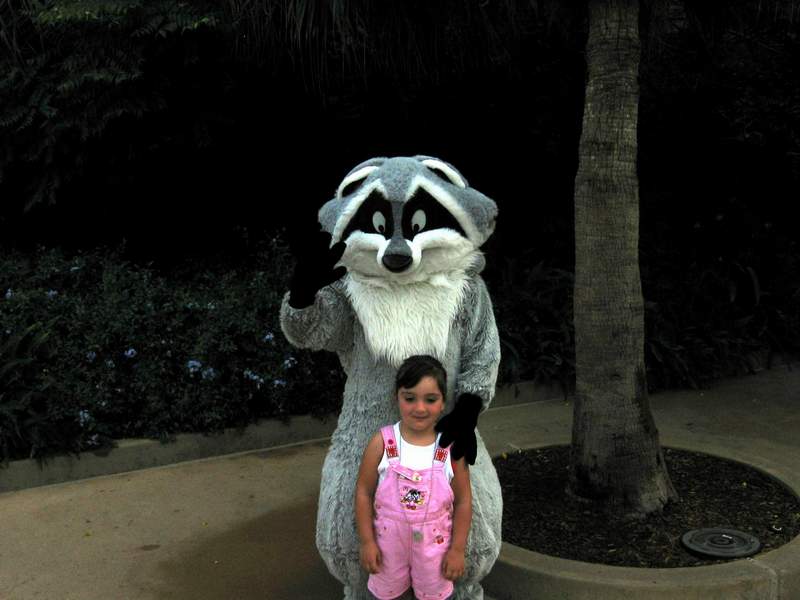 mini_meeko