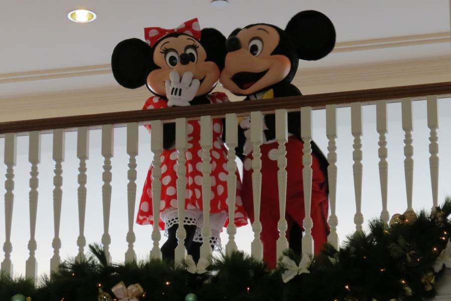 Minnie in DLH