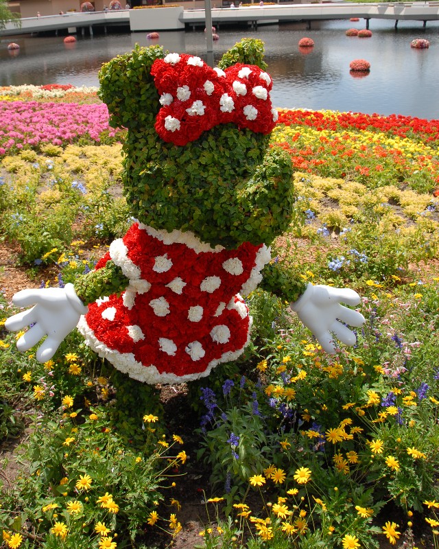 Minnie's Butterfly garden