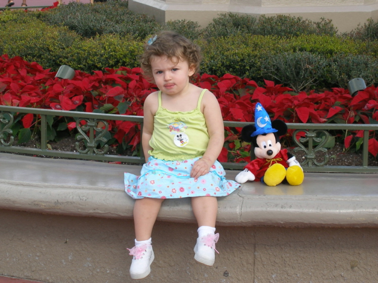 Missing Pal Mickey
