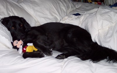 Missy and Mickey