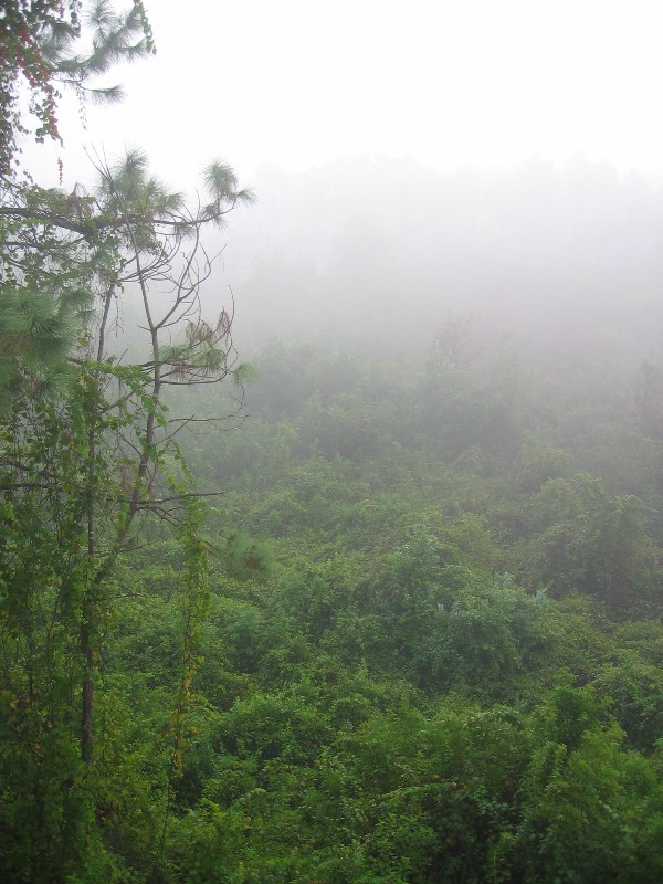 Mist2small