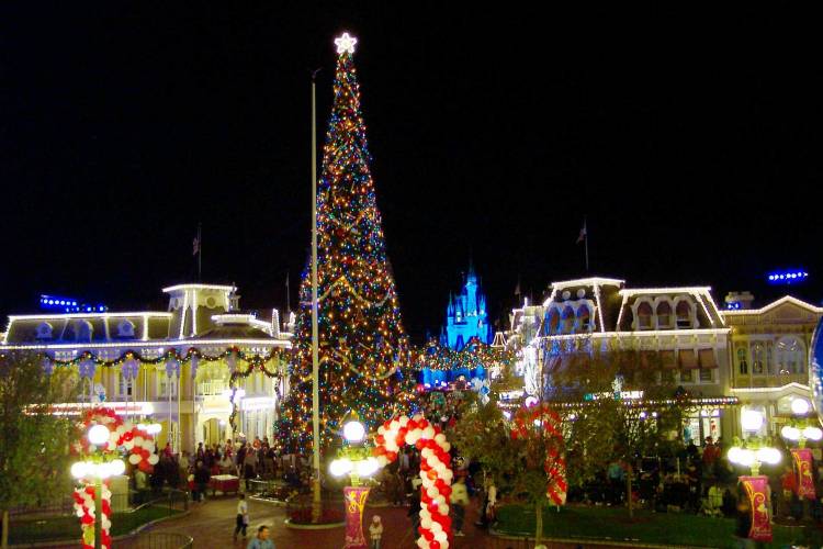 MK at Christmas