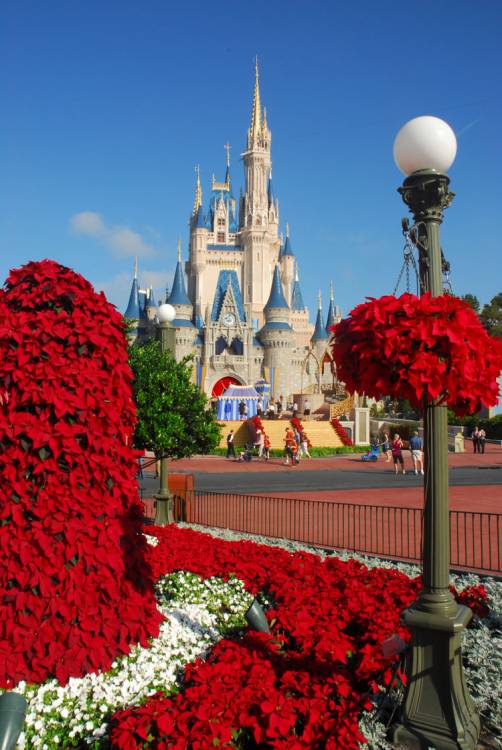 MK Main Street Circle with Christmas Decorations