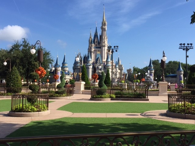 MK Practically Empty - MK 09-07-2017