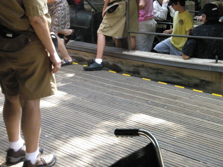 MK WDW Jungle Cruise