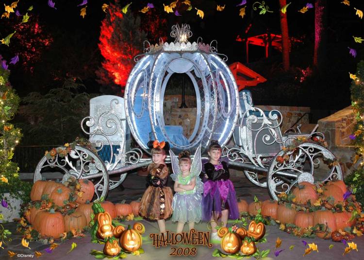MNSSHP 08