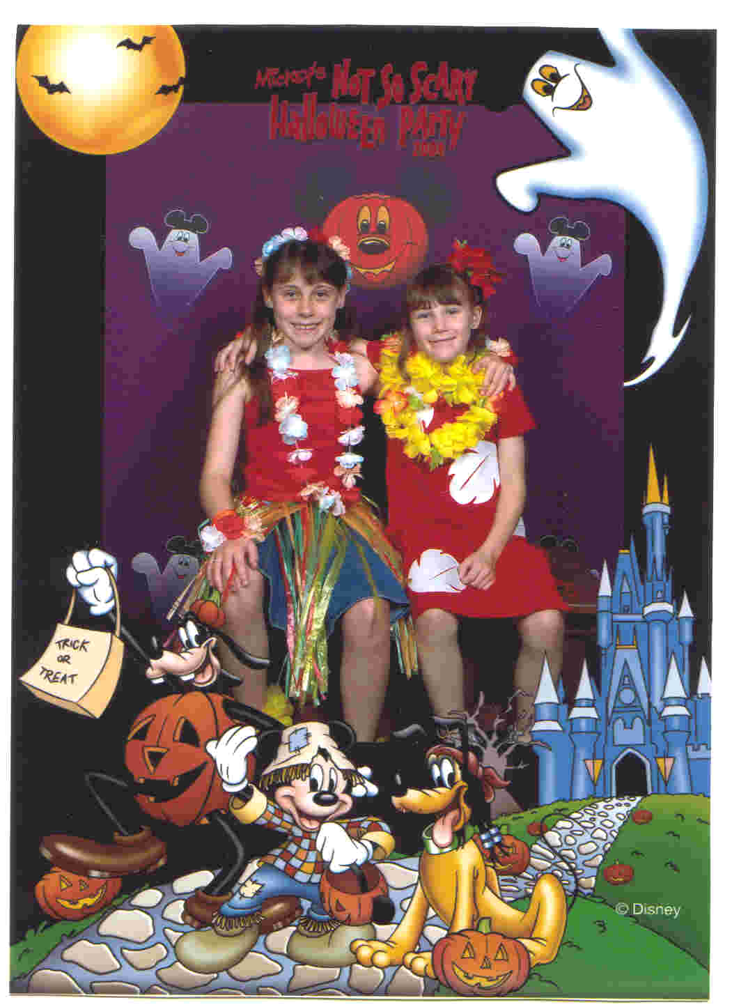 mnsshp 2004