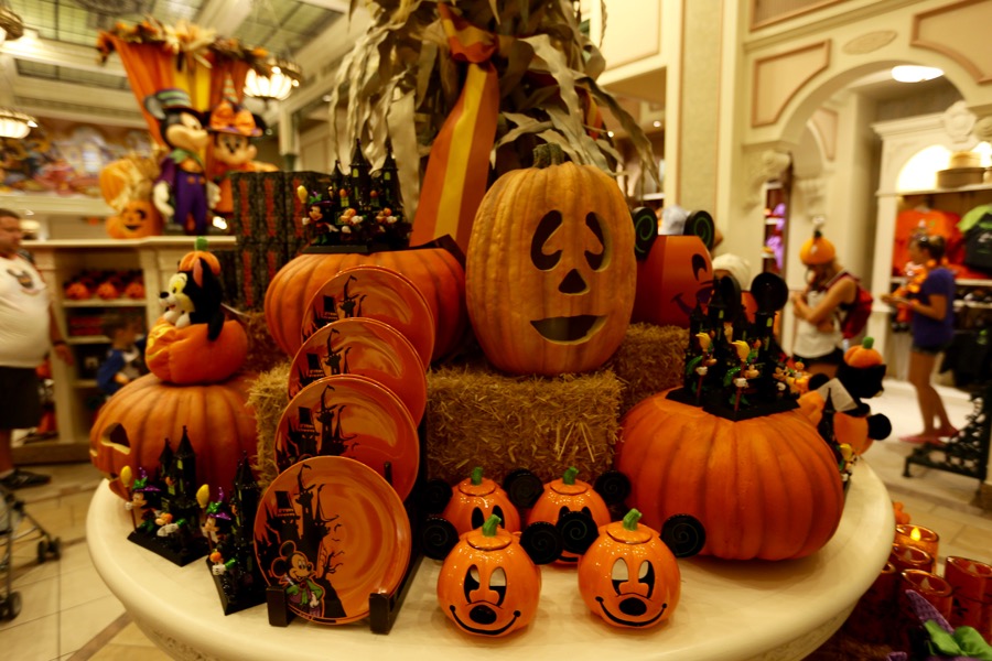 Mnsshp-2016-013
