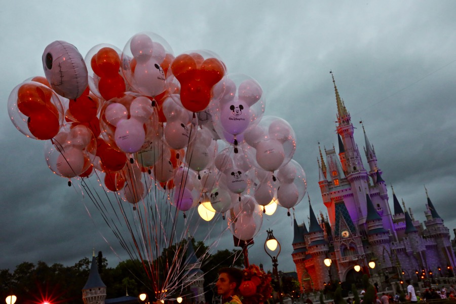 Mnsshp-2016-016