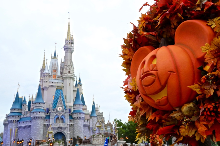 Mnsshp-2016-017