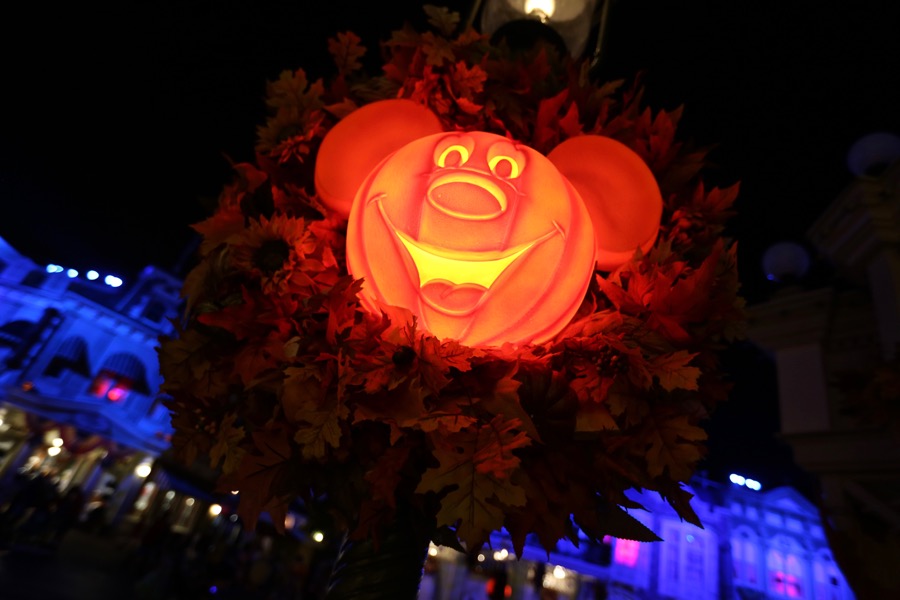 Mnsshp-2016-027