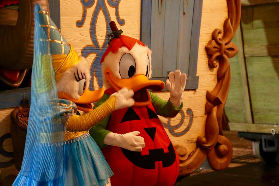 Mnsshp-2016-030