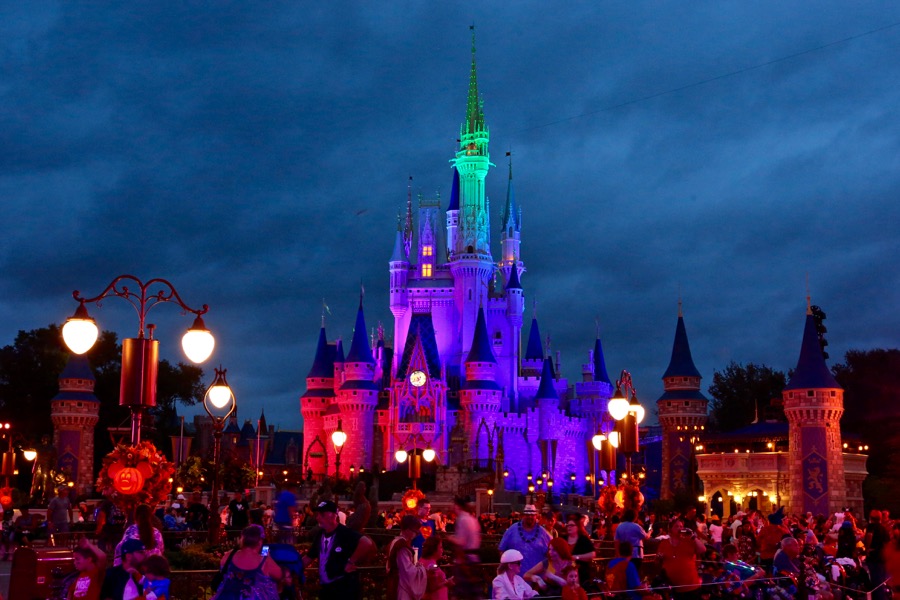 Mnsshp-2016-065