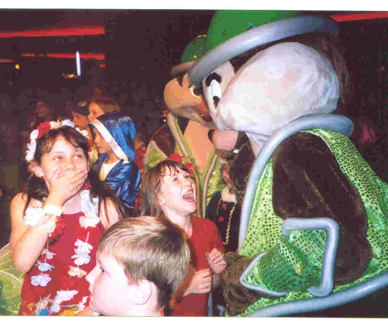 mnsshp 31st