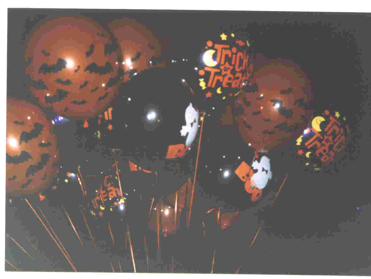 mnsshp 31st