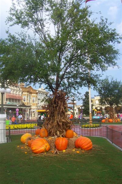 MNSSHP 9/30/2005