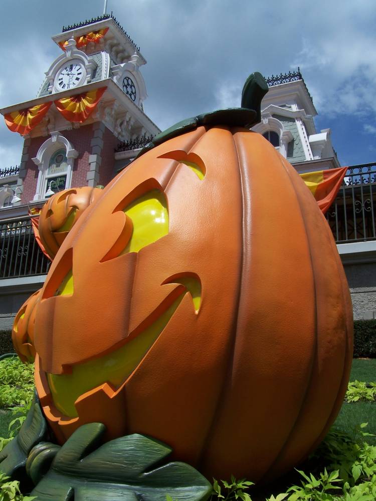 MNSSHP decor