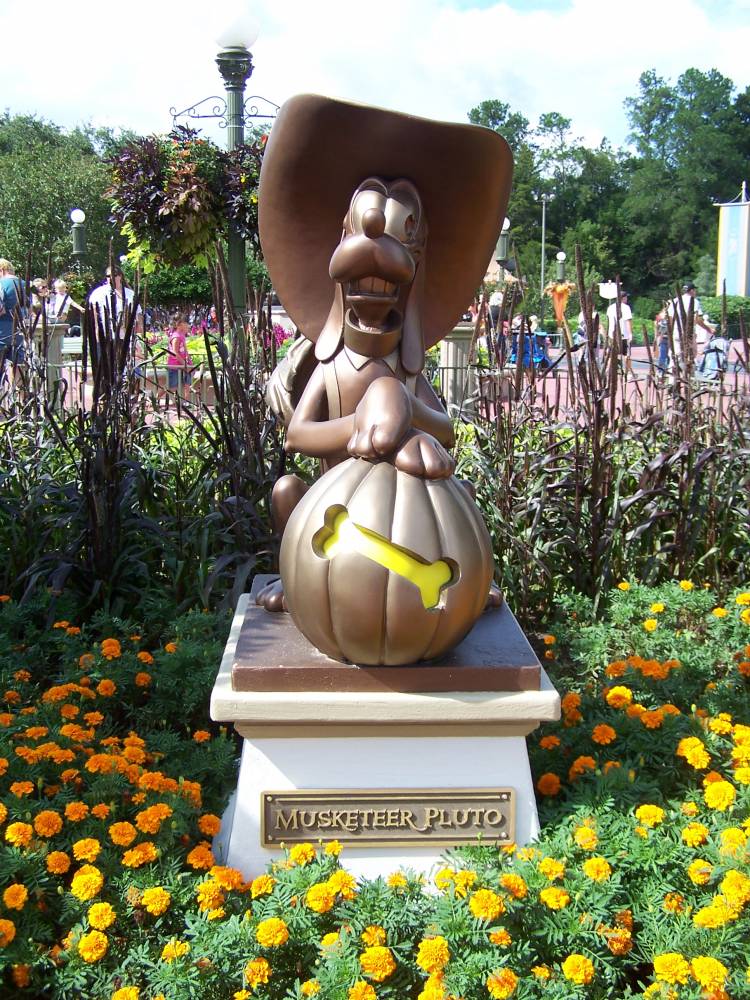 MNSSHP decor