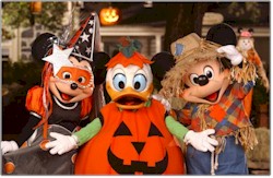MNSSHP Trio