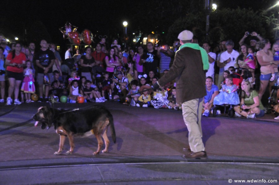 mnsshp20110248