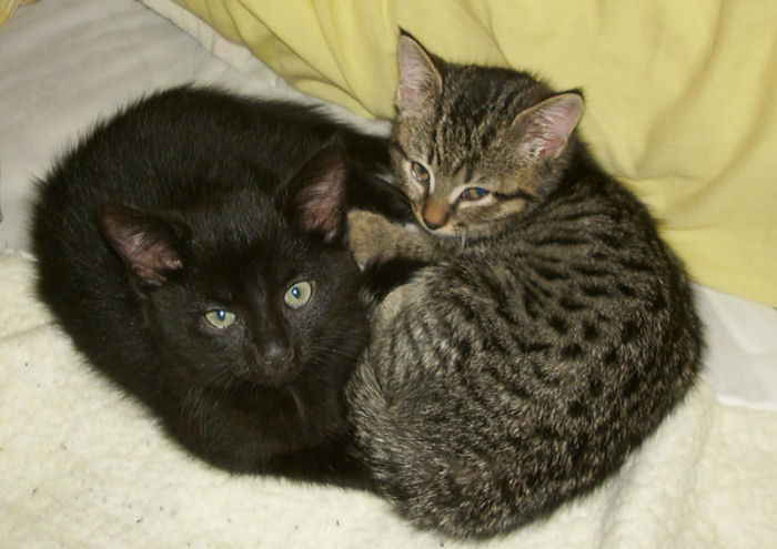 Molie & Charlie