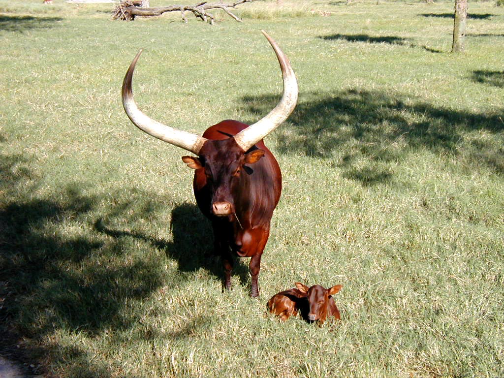 Mom & Baby