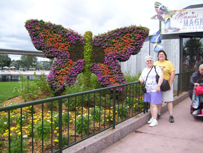 momdaubutterfly
