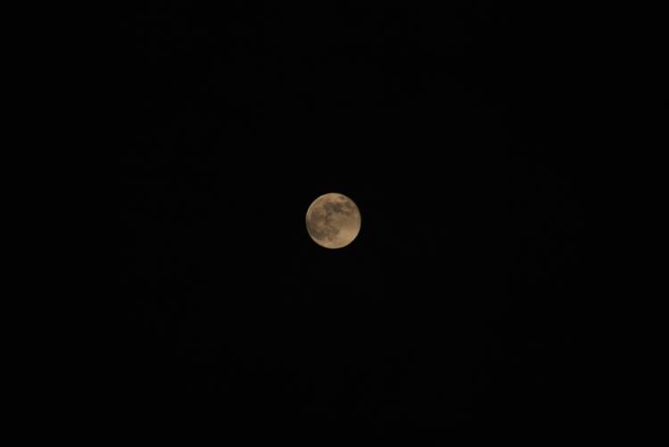Moon