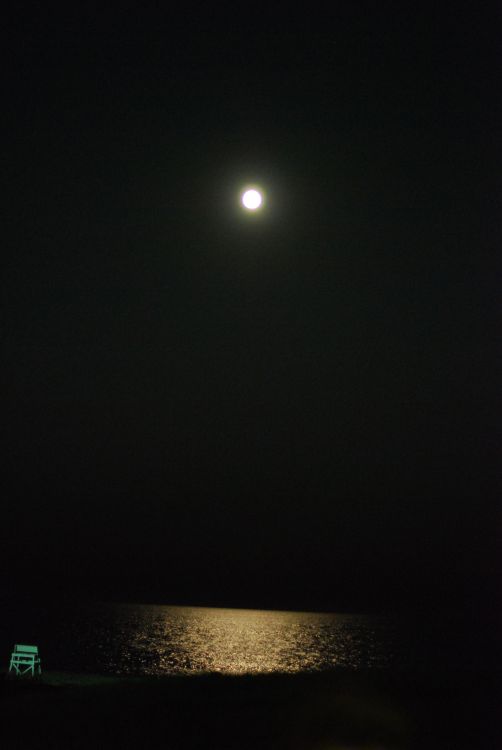 moonlight