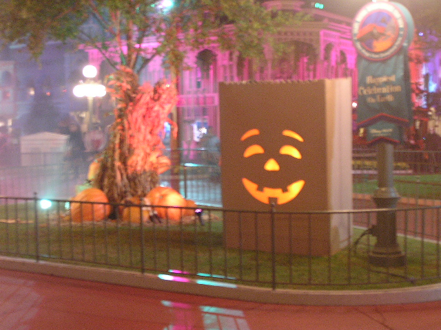 more decorations
