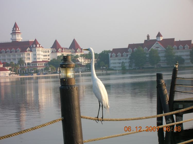 Morning at the Polynesian boat launch