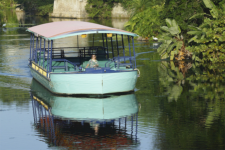 Morning exercise for the boat