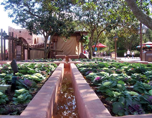 Morocco - Epcot