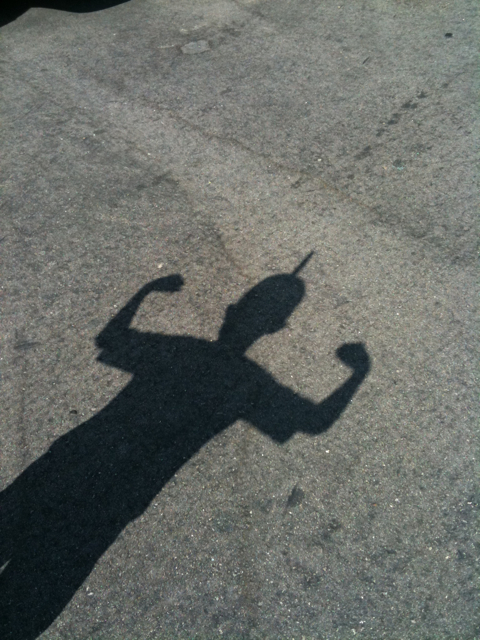 Mousehawk