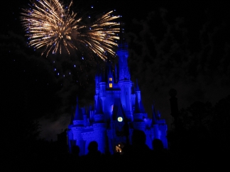 MVMCP_39