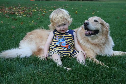 My grandkids