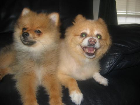 My kids:-)