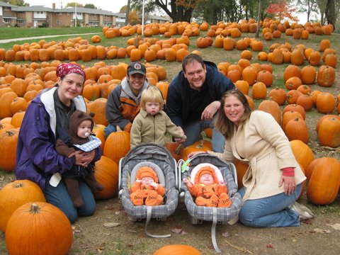 My Pumpkins