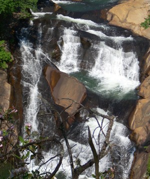 N. Carolina