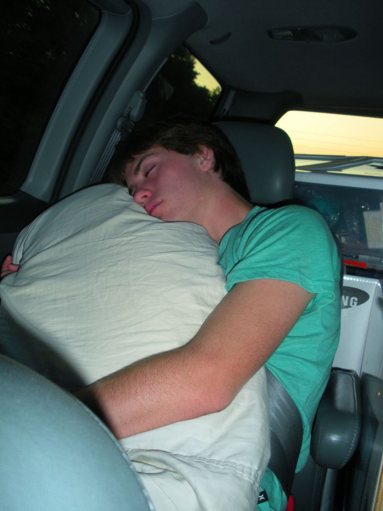Napping_Passenger_in_car