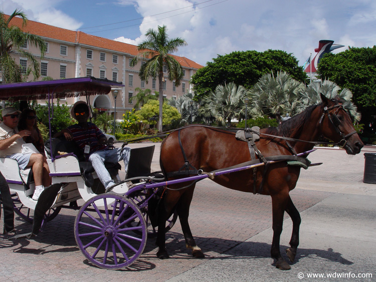 Nassau-Bahamas-40