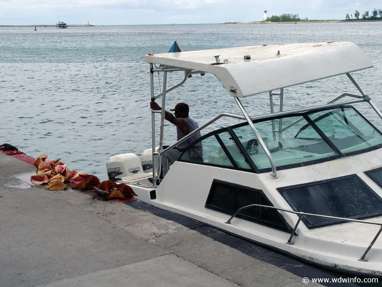 Nassau-Bahamas-48